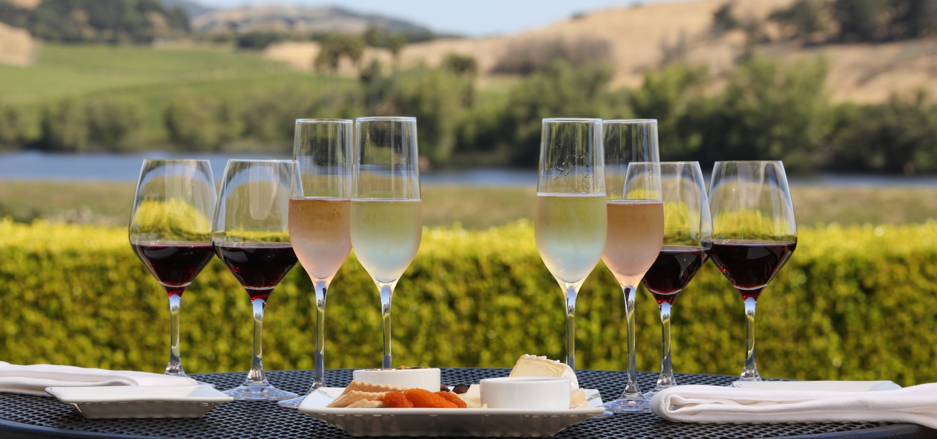 Domaine Carneros