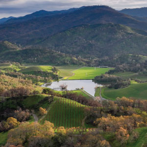 Priest Ranch Wines